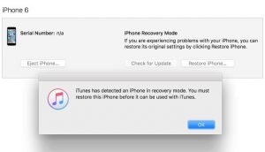 iTunes is Currently Downloading Software For The iPhone